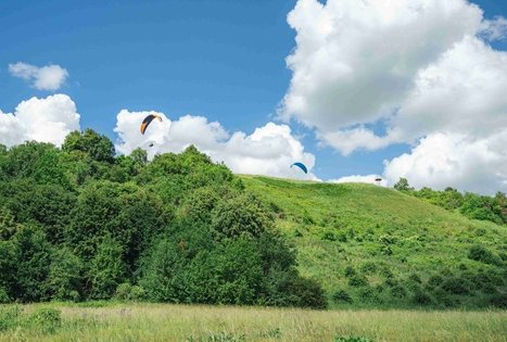 Miško Takas 65. Lampėdžiai – Kulautuva.