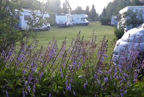 Kemperių stovyklavietė „Pajiešmeniai“