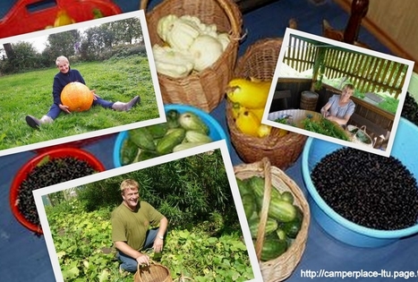 Kemperių stovyklavietė „Pajiešmeniai“