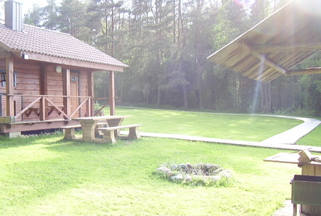 Homestead "Tundra"