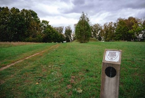 Pakalniškių piliakalnis