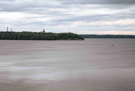 Forest Trail 62. Pakuonis – Vaišvydava.