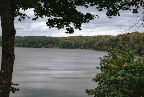 Pakalniškių piliakalnis