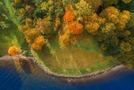 Pakalniškių piliakalnis