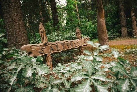 Palazduonio šaltinis