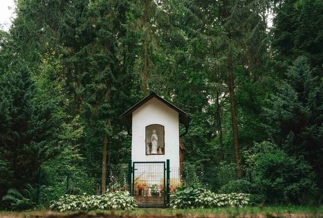 Palazduonio šaltinis