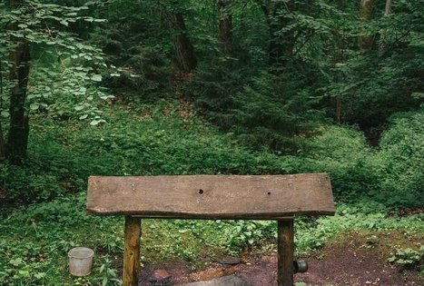 Palazduonio šaltinis