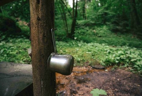 Palazduonio šaltinis