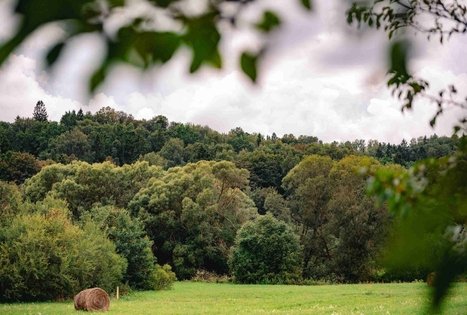 Forest Trail 69. Kirkšnovė – Kaulakiai.