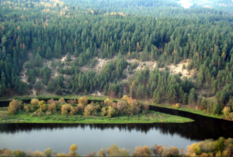 Paneriškių skardžio regykla