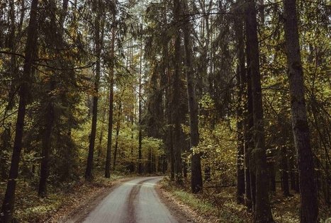 Paštuvos botaninis draustinis