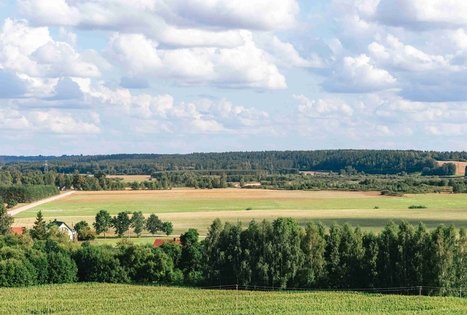 Pašventupis I Hillfort