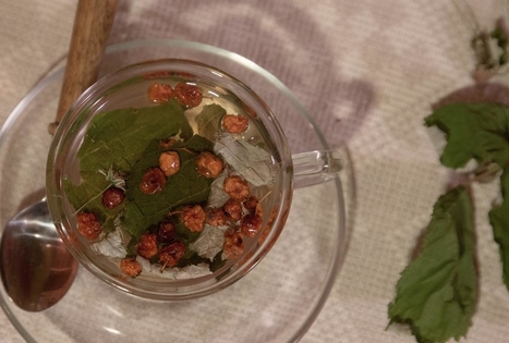 Žolelių arbata pas Almirą Didžiokienę