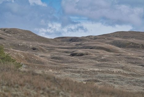 Nagliai Nature Reserve Educational Trail