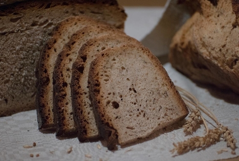 Brewed Wheat Bread