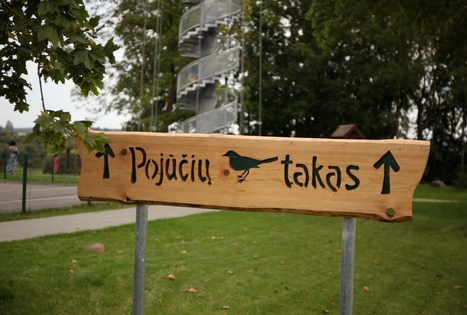 Pojūčių takas