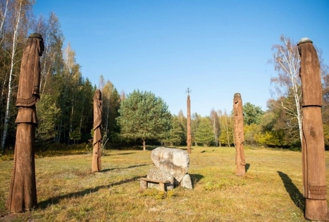 The Pinewood of Punia