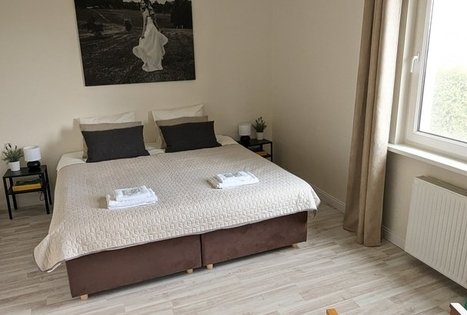 Vila vynuogyne