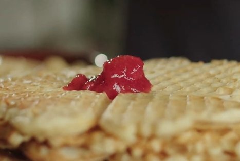 Račkauskai Homestead "Agluona"