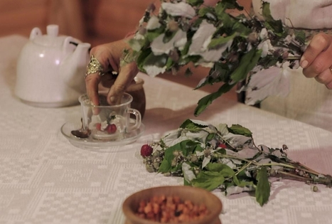 Žolelių arbata pas Almirą Didžiokienę