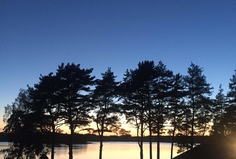 Homestead "Vencavas"