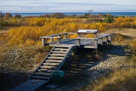 Nemirsetas Dunes and Sand Meadows Observation Deck