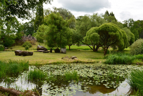 Vaclovas Intas National Stone Museum