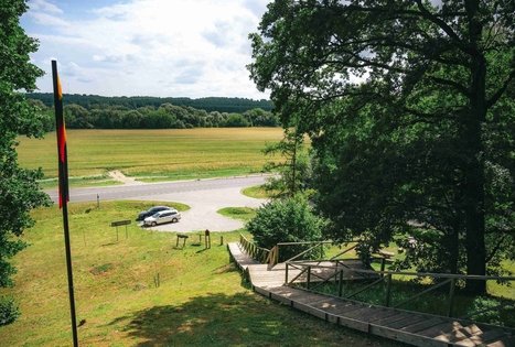 Ringovės piliakalnis