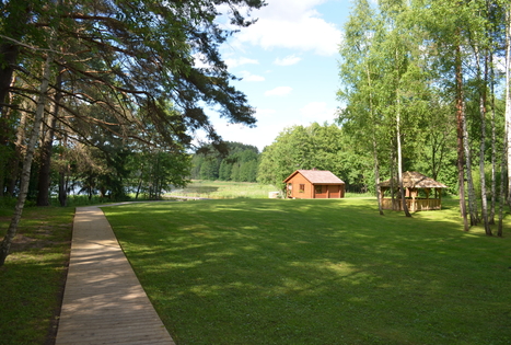 Homestead "Tundra"