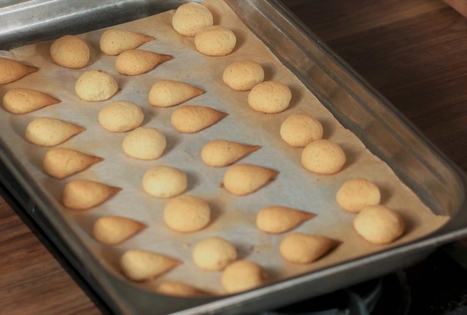 Meduoliniai grybukai „Bernelių užeigoje“