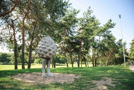Confluence Park (Santakos parkas)
