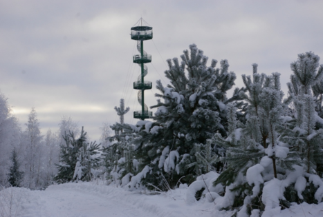 Sartai observation tower