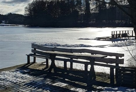 Homestead of Nijolė and Henrikas Zubrickiai 