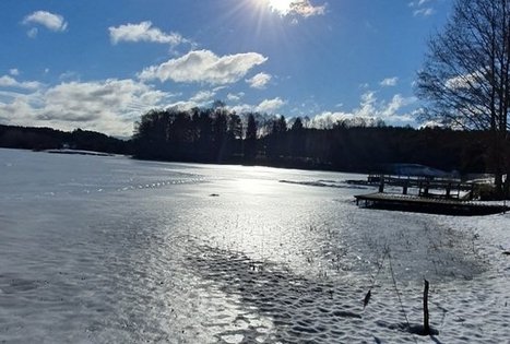 Homestead of Nijolė and Henrikas Zubrickiai 