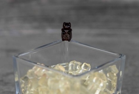 Šeivamedžio skanumynų dirbtuvės