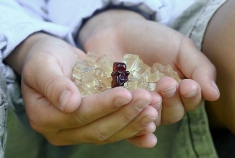 Šeivamedžio skanumynų dirbtuvės