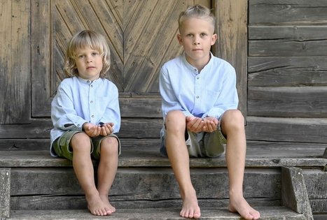 Šeivamedžio skanumynų dirbtuvės