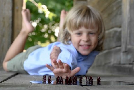 Šeivamedžio skanumynų dirbtuvės