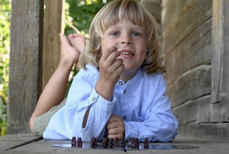 Šeivamedžio skanumynų dirbtuvės