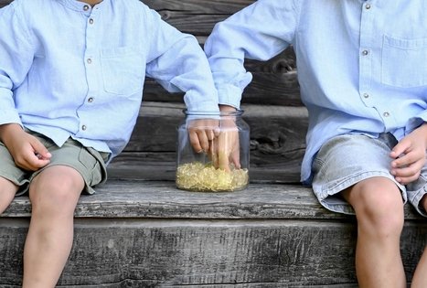 Šeivamedžio skanumynų dirbtuvės