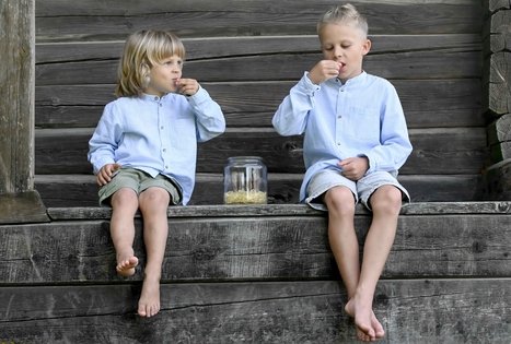 Šeivamedžio skanumynų dirbtuvės