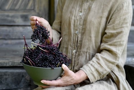 Šeivamedžio skanumynų dirbtuvės