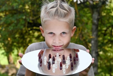 Šeivamedžio skanumynų dirbtuvės