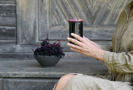 Šeivamedžio skanumynų dirbtuvės