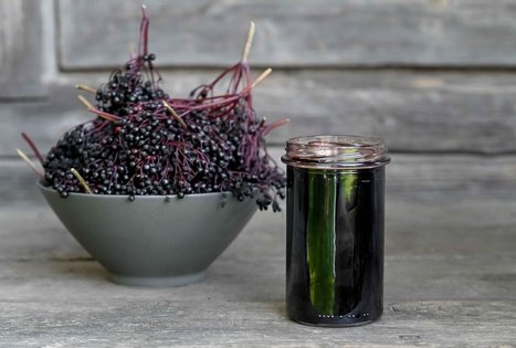 Šeivamedžio skanumynų dirbtuvės