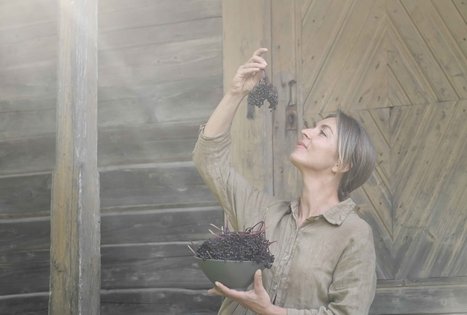 Šeivamedžio skanumynų dirbtuvės