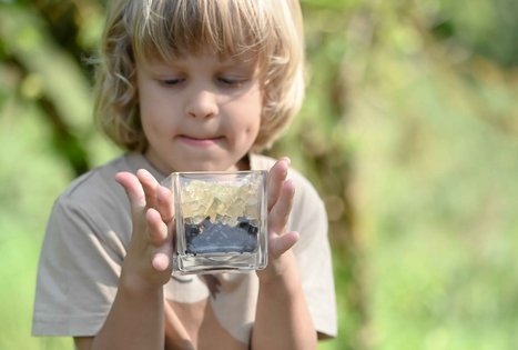Šeivamedžio skanumynų dirbtuvės