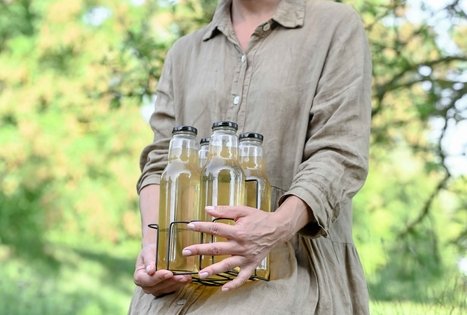 Šeivamedžio skanumynų dirbtuvės