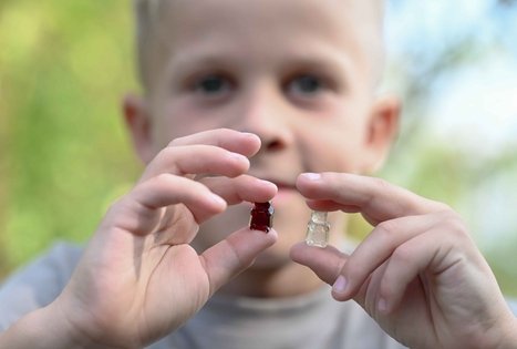 Šeivamedžio skanumynų dirbtuvės