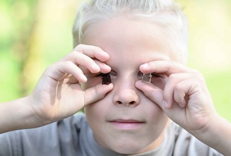 Šeivamedžio skanumynų dirbtuvės